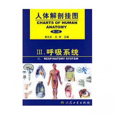 《人體解剖掛圖》-呼吸系統